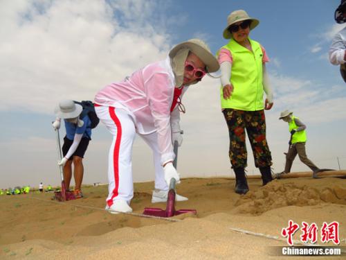 8月3日，内蒙古乌兰布和沙漠，公益名人、著名表演艺术家方青卓与志愿者一起植树。唐文业 摄